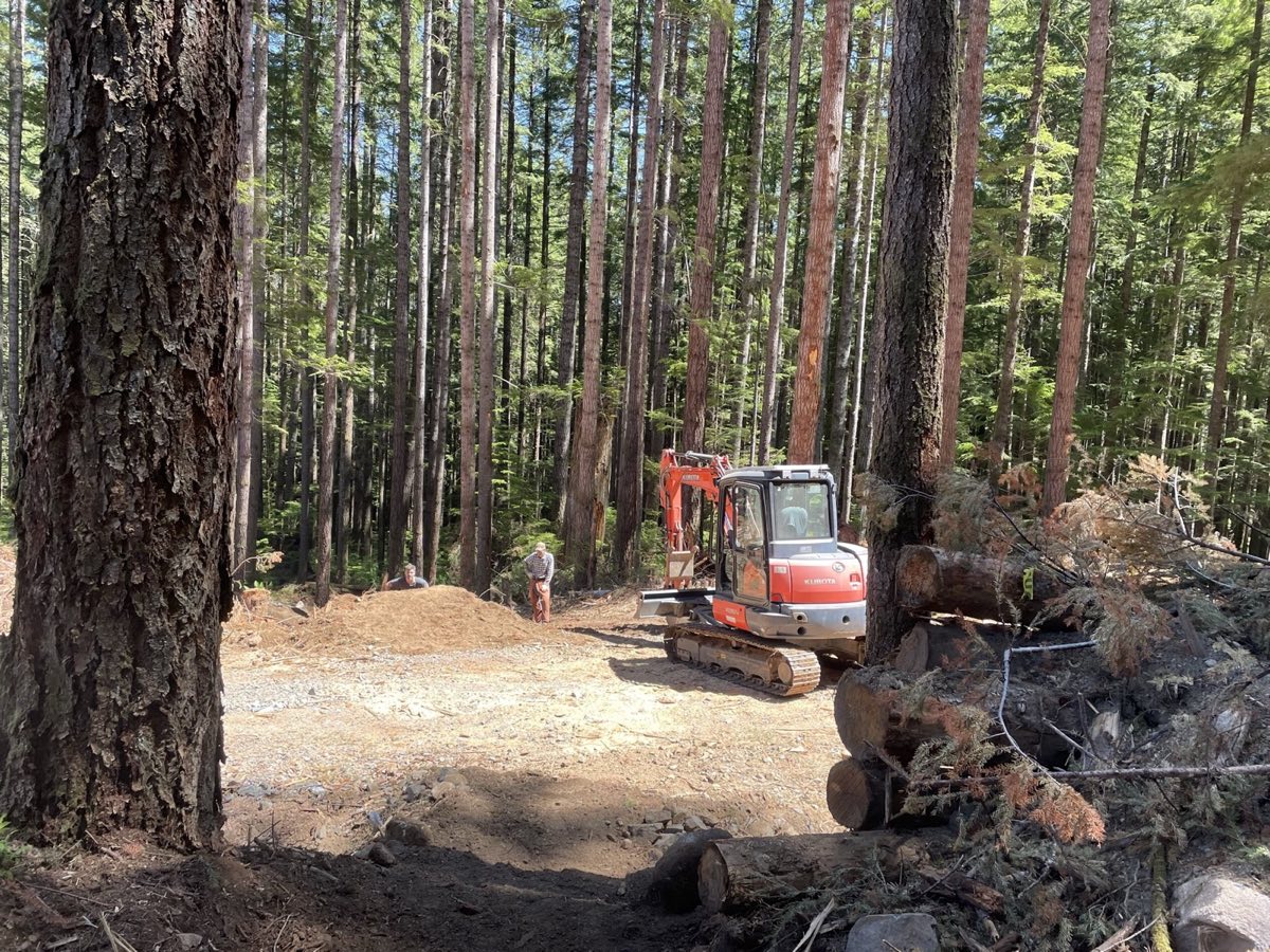 Site development Quadra Island