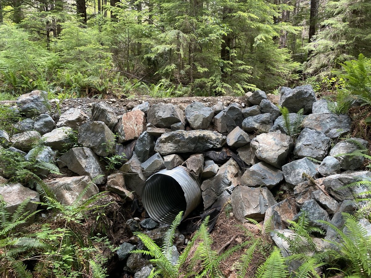 Site prep Campbell River BC