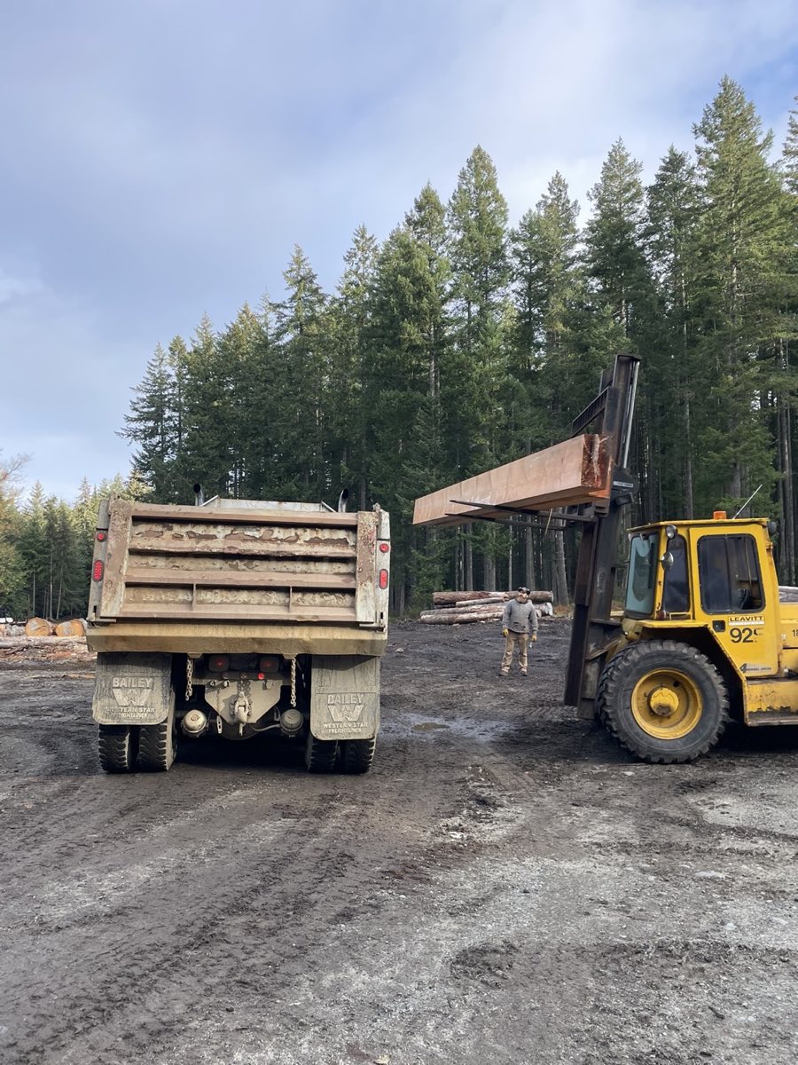 Land development Quadra Island